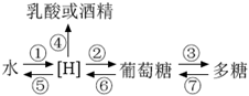 菁優(yōu)網(wǎng)