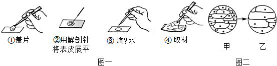 菁優(yōu)網(wǎng)