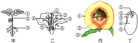 菁優(yōu)網(wǎng)