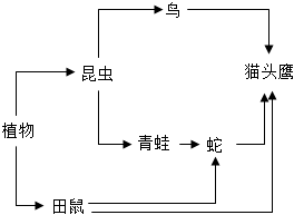 菁優(yōu)網(wǎng)