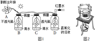 菁優(yōu)網(wǎng)