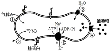 菁優(yōu)網(wǎng)