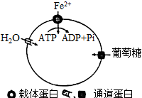 菁優(yōu)網(wǎng)