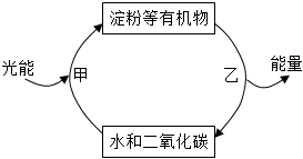 菁優(yōu)網(wǎng)