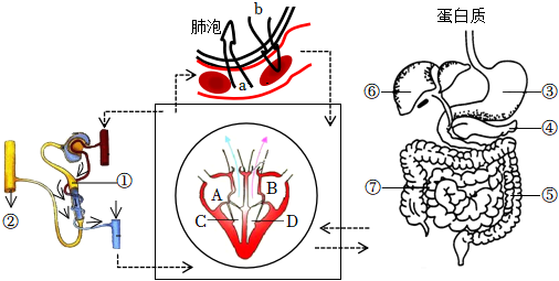 菁優(yōu)網(wǎng)