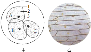 菁優(yōu)網