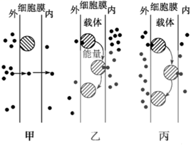 菁優(yōu)網(wǎng)