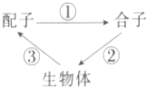 菁優(yōu)網(wǎng)