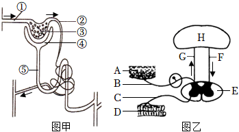 菁優(yōu)網(wǎng)