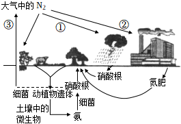 菁優(yōu)網(wǎng)