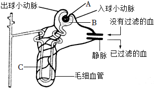 菁優(yōu)網(wǎng)