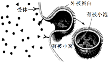 菁優(yōu)網