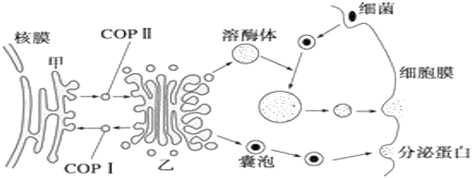 菁優(yōu)網(wǎng)