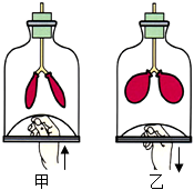 菁優(yōu)網(wǎng)