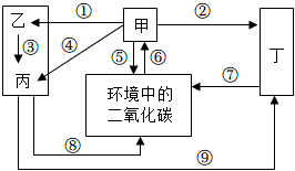 菁優(yōu)網(wǎng)