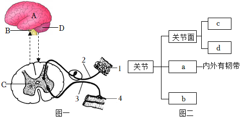 菁優(yōu)網