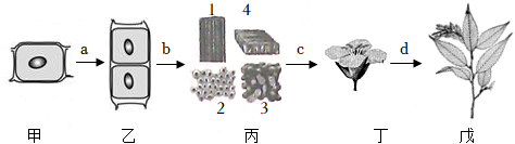 菁優(yōu)網