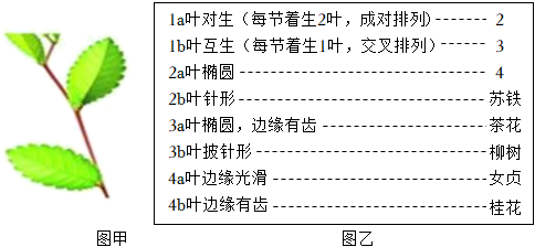 菁優(yōu)網