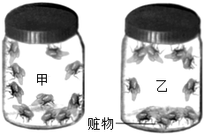 菁優(yōu)網(wǎng)