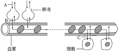 菁優(yōu)網(wǎng)