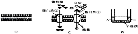 菁優(yōu)網