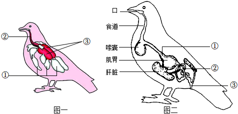 菁優(yōu)網(wǎng)