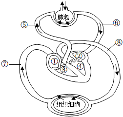 菁優(yōu)網(wǎng)