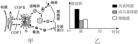 菁優(yōu)網(wǎng)