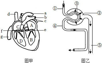 菁優(yōu)網(wǎng)