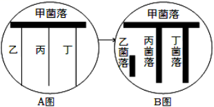 菁優(yōu)網