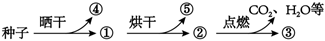 菁優(yōu)網(wǎng)