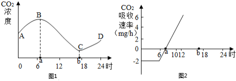 菁優(yōu)網(wǎng)