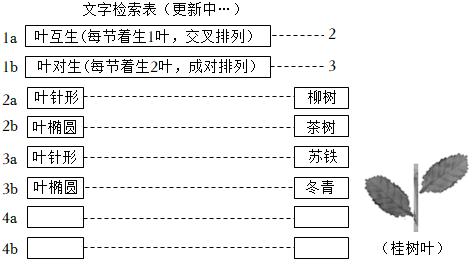 菁優(yōu)網