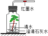 菁優(yōu)網(wǎng)