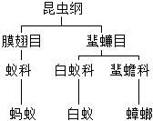 菁優(yōu)網(wǎng)