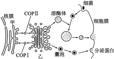 菁優(yōu)網(wǎng)