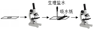 菁優(yōu)網