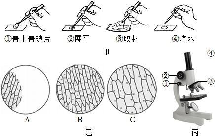 菁優(yōu)網