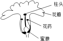 菁優(yōu)網(wǎng)