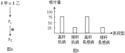 菁優(yōu)網