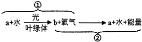 菁優(yōu)網(wǎng)