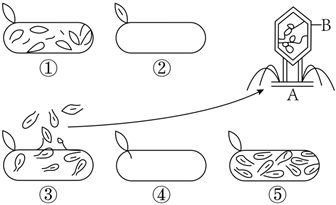 菁優(yōu)網