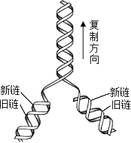 菁優(yōu)網