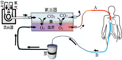 菁優(yōu)網(wǎng)