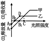 菁優(yōu)網(wǎng)