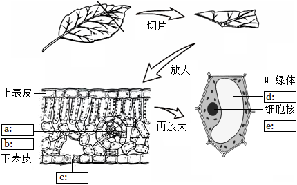 菁優(yōu)網(wǎng)