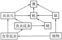 菁優(yōu)網