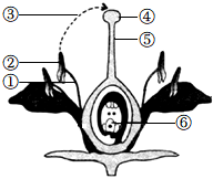 菁優(yōu)網(wǎng)