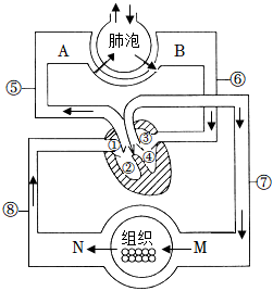 菁優(yōu)網