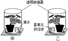 菁優(yōu)網(wǎng)